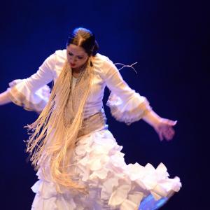 Fotografía de Proyecto Flamenco - Proyecto Flamenco