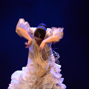 Fotografía de Proyecto Flamenco - Proyecto Flamenco