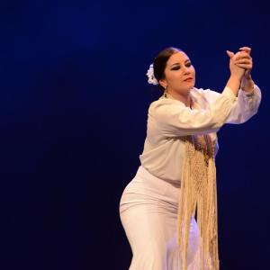 Fotografía de Proyecto Flamenco - Proyecto Flamenco