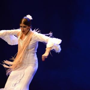 Fotografía de Proyecto Flamenco - Proyecto Flamenco