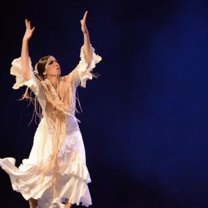 Fotografía de Proyecto Flamenco - Proyecto Flamenco