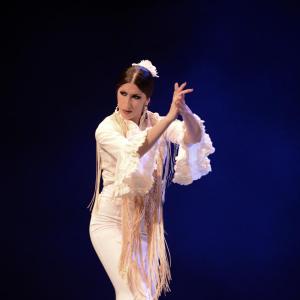 Fotografía de Proyecto Flamenco - Proyecto Flamenco
