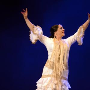 Fotografía de Proyecto Flamenco - Proyecto Flamenco