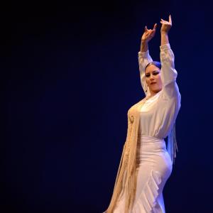 Fotografía de Proyecto Flamenco - Proyecto Flamenco