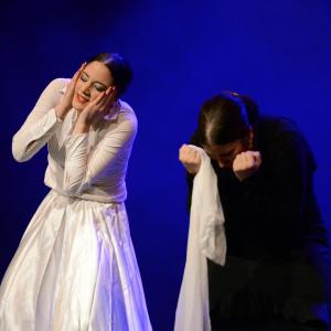 Fotografía de Proyecto Flamenco - Proyecto Flamenco
