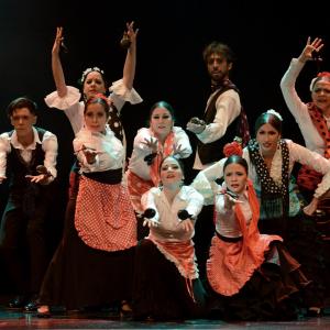 Fotografía de Proyecto Flamenco - Proyecto Flamenco
