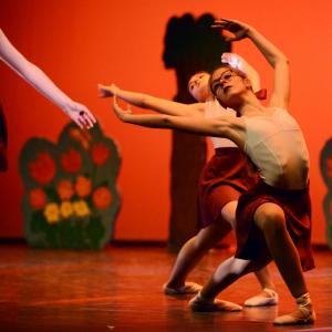 Fotografía de Concurso coreografías 1-parte. Clásico y contemporáneo - Conservatorio de Danza