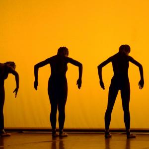 Fotografía de Concurso coreografías 1-parte. Clásico y contemporáneo - Conservatorio de Danza