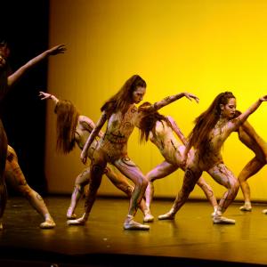 Fotografía de Concurso coreografías 1-parte. Clásico y contemporáneo - Conservatorio de Danza