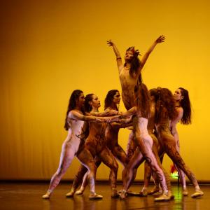Fotografía de Concurso coreografías 1-parte. Clásico y contemporáneo - Conservatorio de Danza