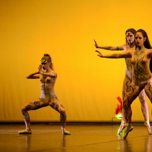 Fotografía de Concurso coreografías 1-parte. Clásico y contemporáneo - Conservatorio de Danza