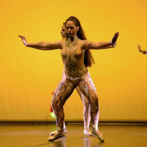 Fotografía de Concurso coreografías 1-parte. Clásico y contemporáneo - Conservatorio de Danza