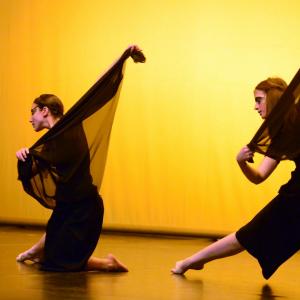 Fotografía de Concurso coreografías 1-parte. Clásico y contemporáneo - Conservatorio de Danza