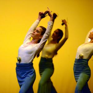Fotografía de Concurso coreografías 1-parte. Español y flamenco - Conservatorio de Danza