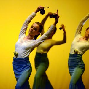 Fotografía de Concurso coreografías 1-parte. Español y flamenco - Conservatorio de Danza