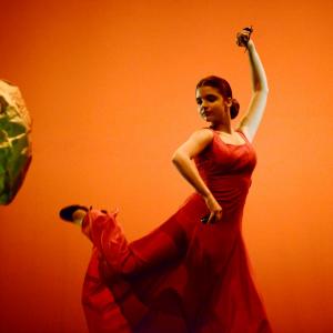 Fotografía de Concurso coreografías 1-parte. Español y flamenco - Conservatorio de Danza