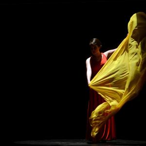 Fotografía de Concurso coreografías 1-parte. Español y flamenco - Conservatorio de Danza