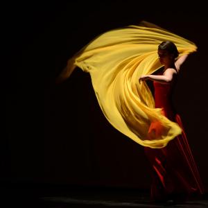 Fotografía de Concurso coreografías 1-parte. Español y flamenco - Conservatorio de Danza