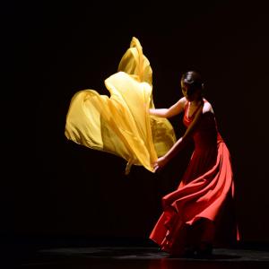 Fotografía de Concurso coreografías 1-parte. Español y flamenco - Conservatorio de Danza