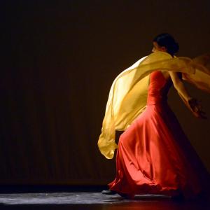 Fotografía de Concurso coreografías 1-parte. Español y flamenco - Conservatorio de Danza