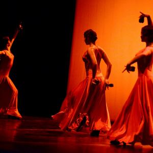 Fotografía de Concurso coreografías 1-parte. Español y flamenco - Conservatorio de Danza