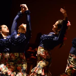 Fotografía de Concurso coreografías 1-parte. Español y flamenco - Conservatorio de Danza