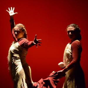 Fotografía de Concurso coreografías. Baile flamenco - Conservatorio de Danza