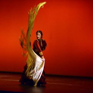 Fotografía de Concurso coreografías. Baile flamenco - Conservatorio de Danza