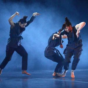 Fotografía de Whistleblower - Conservatorio de Danza