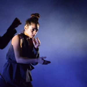 Fotografía de Whistleblower - Conservatorio de Danza