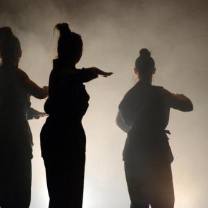 Fotografía de Whistleblower - Conservatorio de Danza