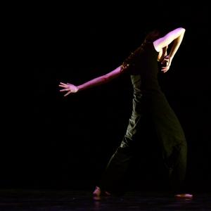 Fotografía de Noche de solos - Provisional danza (Carmen Werner)