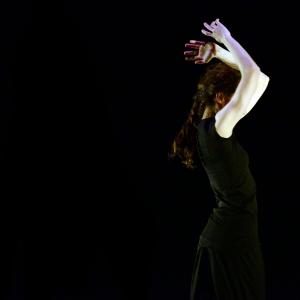 Fotografía de Noche de solos - Provisional danza (Carmen Werner)