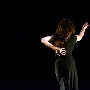 Fotografía de Noche de solos - Provisional danza (Carmen Werner)