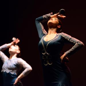 Fotografía de Gala Solidaria con Medicus mundi en Armilla. Galería 1 - Conservatorio de Danza