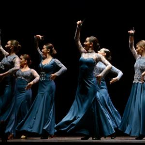 Fotografía de Gala Solidaria con Medicus mundi en Armilla. Galería 1 - Conservatorio de Danza