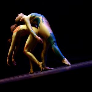Fotografía de Gala Solidaria con Medicus mundi en Armilla. Galería 1 - Conservatorio de Danza