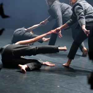 Fotografía de Whistleblower - Conservatorio de Danza