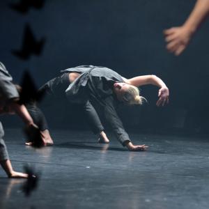 Fotografía de Whistleblower - Conservatorio de Danza
