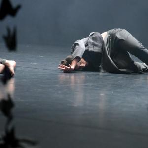 Fotografía de Whistleblower - Conservatorio de Danza