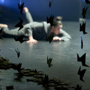 Fotografía de Whistleblower - Conservatorio de Danza