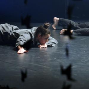 Fotografía de Whistleblower - Conservatorio de Danza