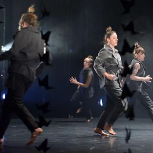 Fotografía de Whistleblower - Conservatorio de Danza