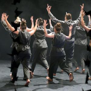 Fotografía de Whistleblower - Conservatorio de Danza