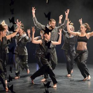 Fotografía de Whistleblower - Conservatorio de Danza