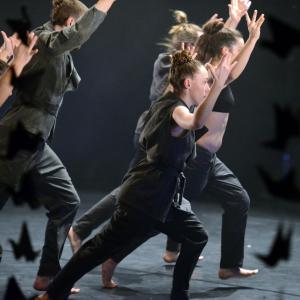 Fotografía de Whistleblower - Conservatorio de Danza