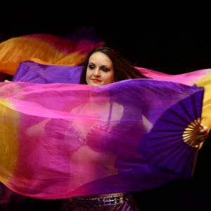 Fotografía de Raks Fantasy. Espectáculo - 