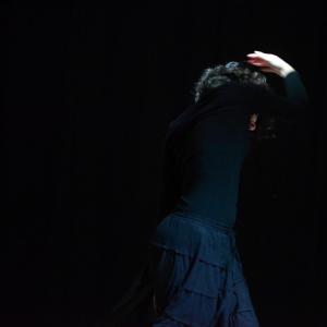 Fotografía de Danzamatique - Danzamatique