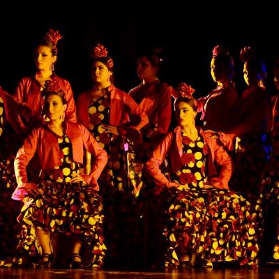 Fotografía de Talleres de Baile flamenco  - Conservatorio de Danza
