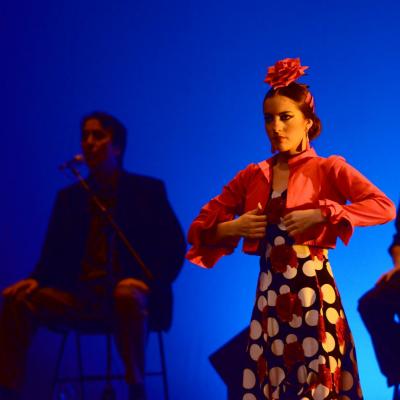 Fotografía de Talleres de Baile flamenco  - Conservatorio de Danza